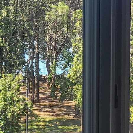 Medium Miramare Appartamento Sogno Sul Mare Trieste Exterior foto