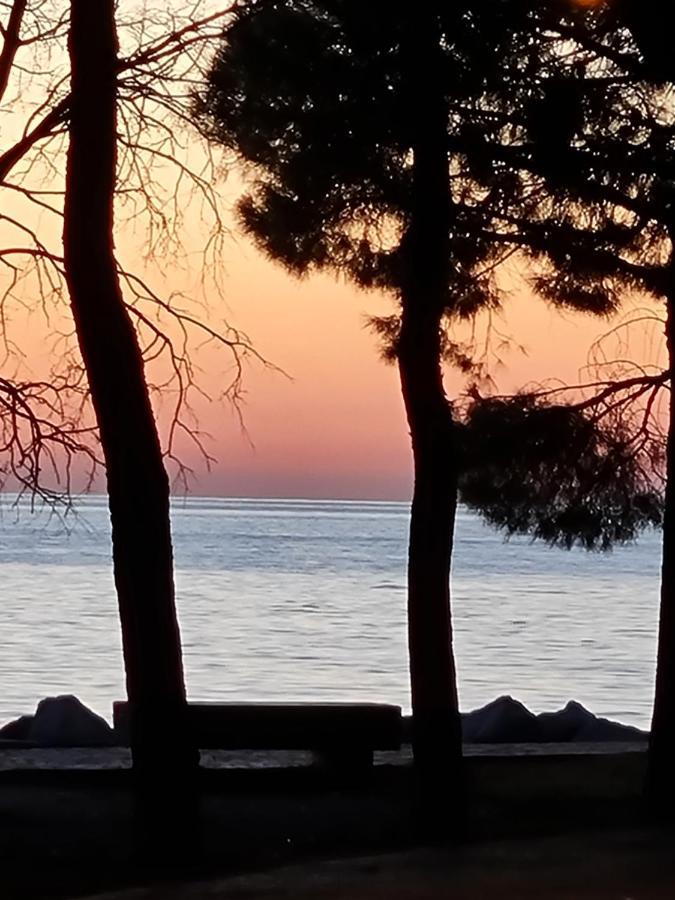 Medium Miramare Appartamento Sogno Sul Mare Trieste Exterior foto