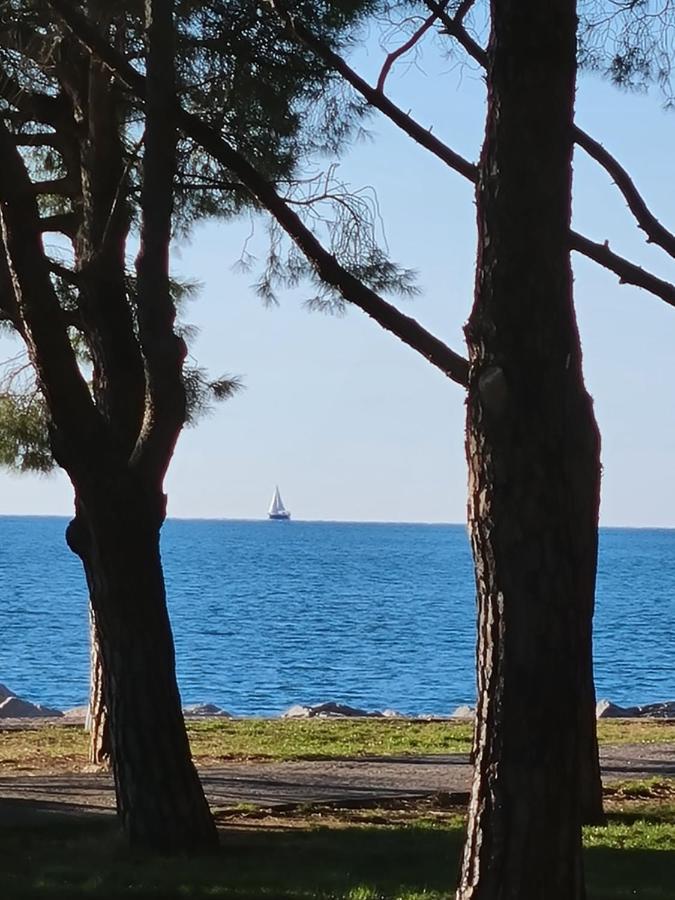 Medium Miramare Appartamento Sogno Sul Mare Trieste Exterior foto